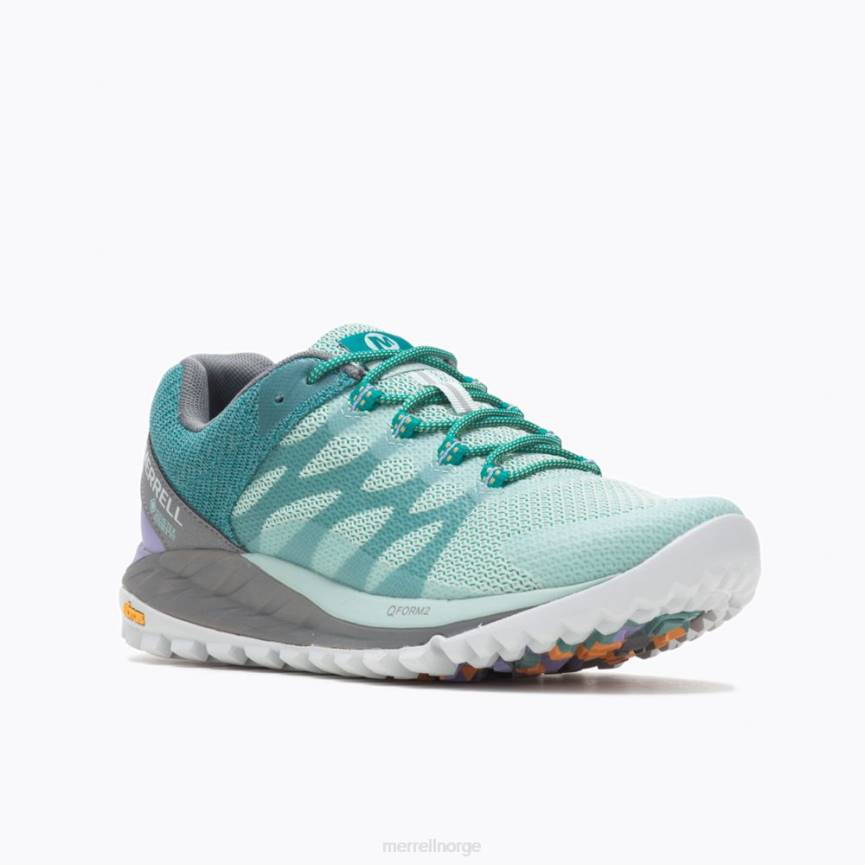 64NP1320 havn Merrell antora 2 gore-tex (j067200)