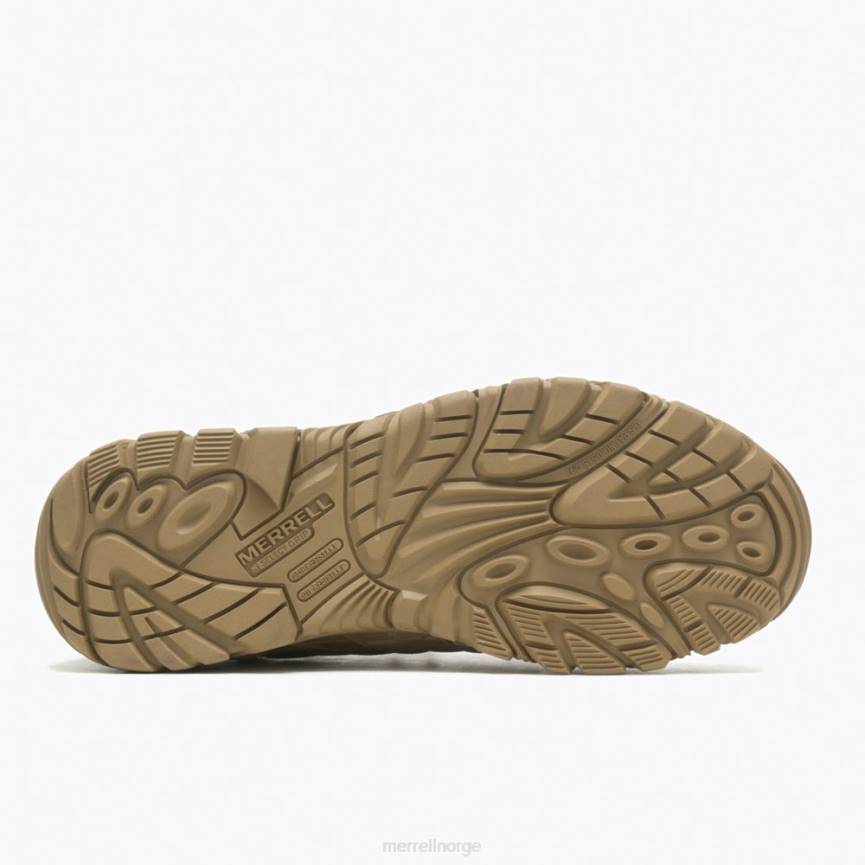 64NP347 prærieulv Merrell moab hastighet taktisk middels vanntett (j099423)